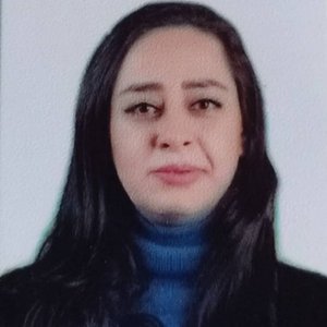 Lina Al-Najjari